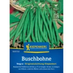 Buschbohnensamen Negra