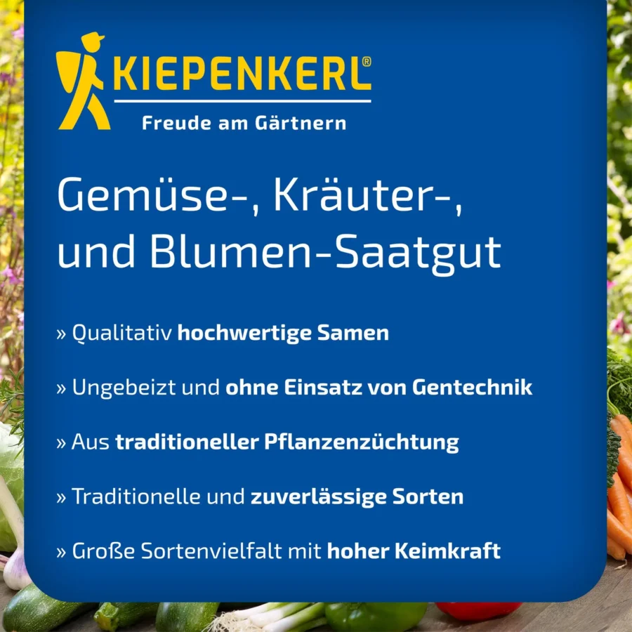 Kiepenkerl Buschbohne Saxa 19, ertragreiche Sorte für gesunde Ernten, ideal für Gemüsebeete, hochwüchsig, 500 Samen.