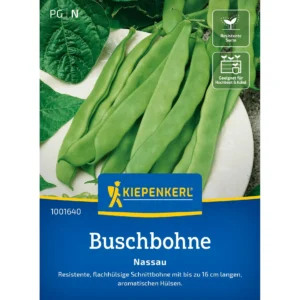 Buschbohnensamen Nassau