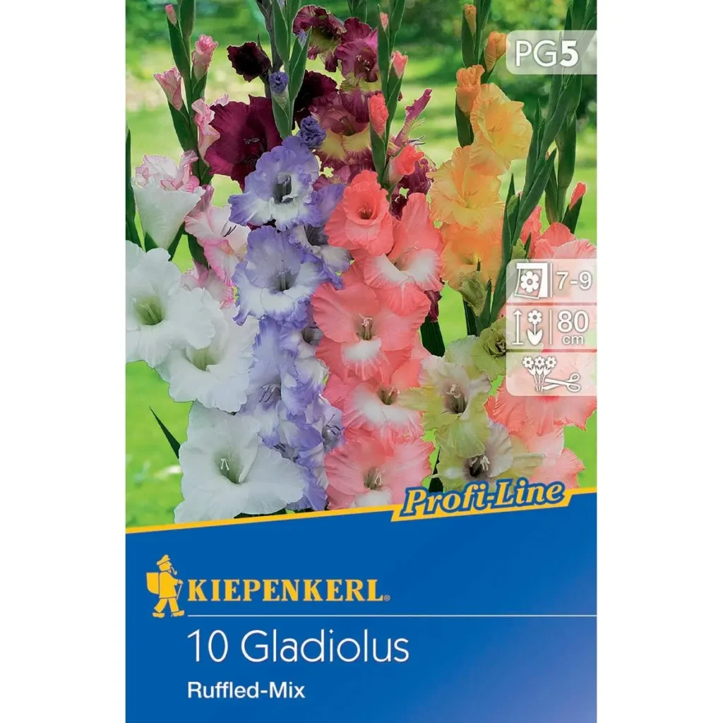Kiepenkerl Butterfly Gladiole Ruffled Mix – prachtvolle Blumenzwiebeln in leuchtenden Farben, ideal für romantische Gärten und bunte Blumenbeete.