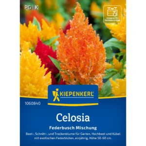 Celosiasamen Federbusch Mischung