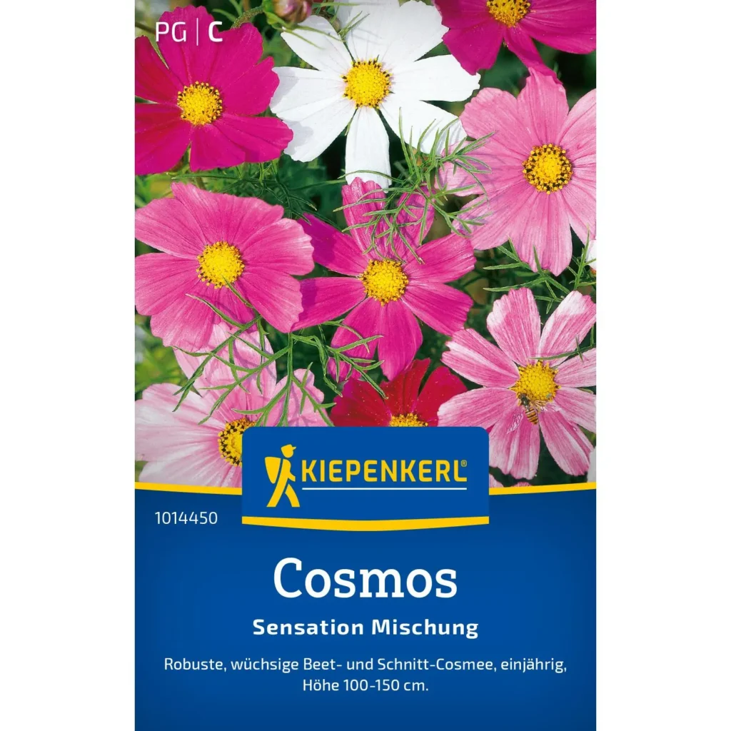 Kiepenkerl Cosmos Sensation Mischung, bunten Blumenmix für prachtvolle Sommerblüten, ideal für Beete und Pflanzkübel, 40 Samen.