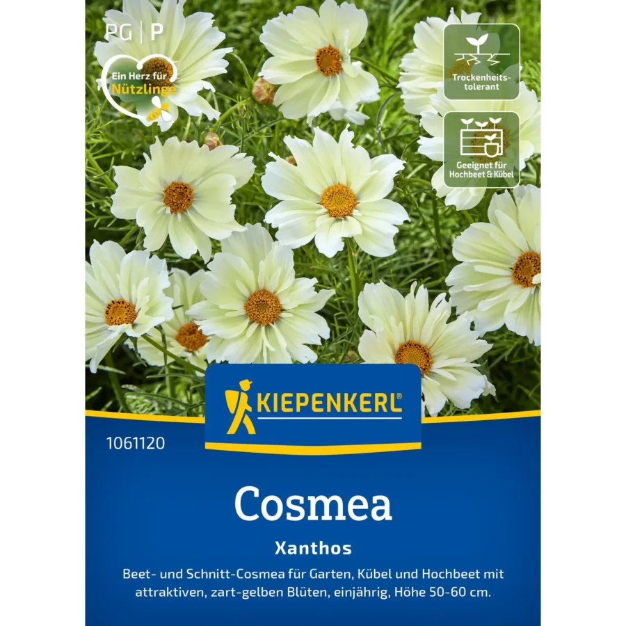 Kiepenkerl-Cosmossamen Xanthos, leuchtende gelbe Blüten, ideal für bienenfreundliche Gärten, 500 Samen für üppige Blumenpracht.