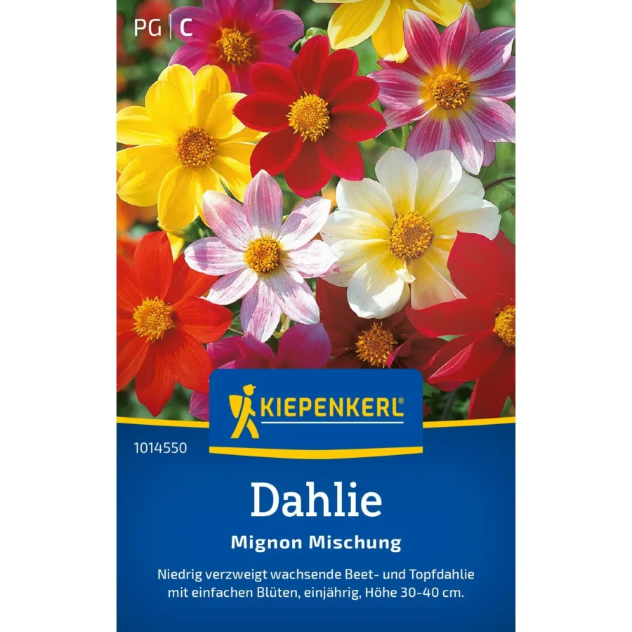 Kiepenkerl Dahliensamen Mignon Mischung, farbenfrohe Blütenvielfalt für blühende Gärten, ideal für Balkon- und Beetgestaltung.