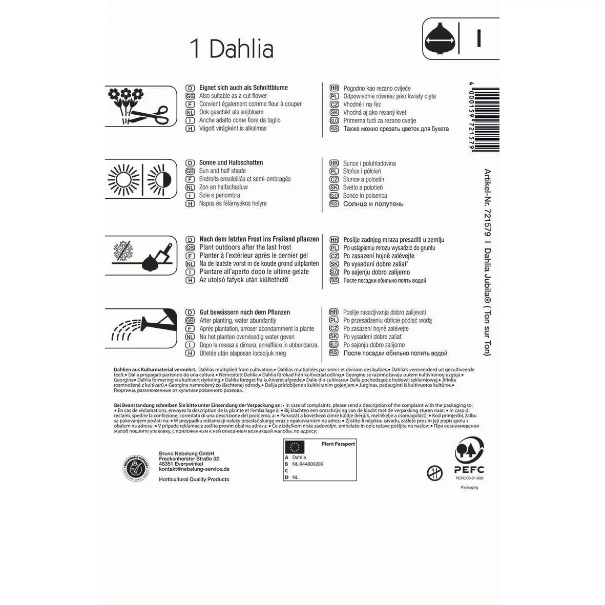 Dekorative Dahlie Jubila 2 Kiepenkerl-Dekorative-Dahlie-Jubila-2, leuchtend orange, ideal für bunte Gärten und Balkonbeete, robust und pflegeleicht.