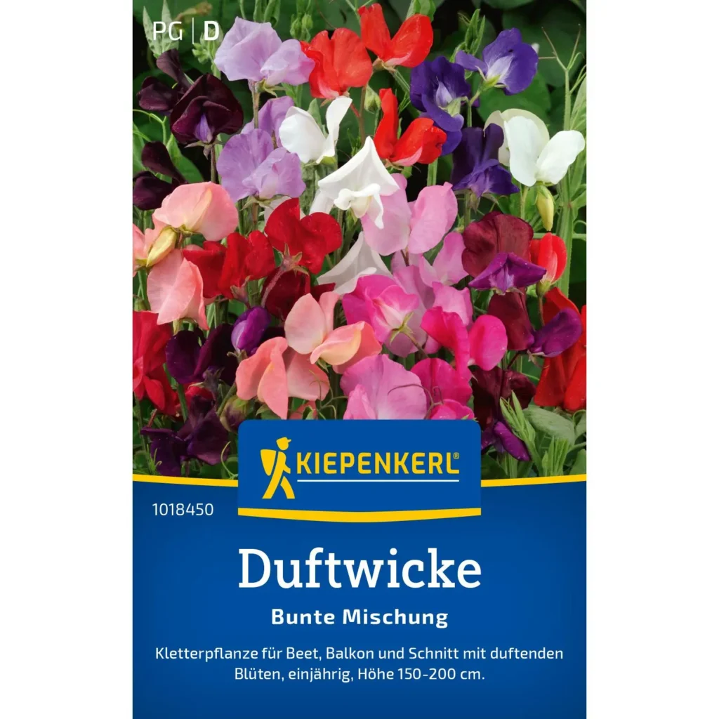 Kiepenkerl Duftwicke Bunte Mischung, mehrfarbige Blüten für duftende Gärten, ideal für Balkon- und Beetbepflanzung.