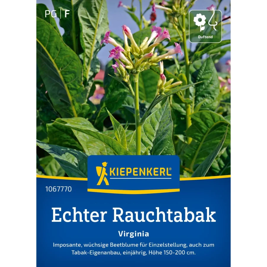 Kiepenkerl Echter Rauchtabaksamen Virginia, ideal für aromatischen selbstgefertigten Tabak, 10 g für Genuss und Qualität.