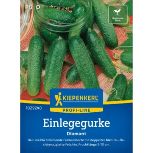 Einlegegurkensamen Diamant
