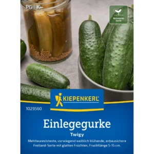 Einlegegurkensamen Twigy