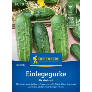 Einlegegurkensamen Picklebush