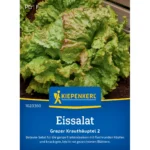 Eissalatsamen Grazer Krauthäuptel 2