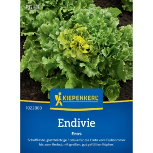 Endiviensamen Eros