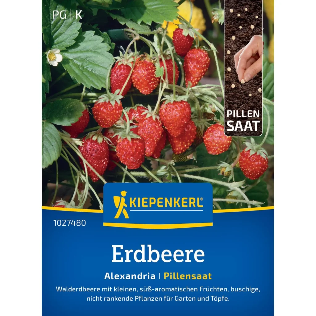 Kiepenkerl Erdbeere Alexandria Pillensaat, ideale Auswahl für saftige Erträge, hochwertiges Saatgut für heimischen Garten.