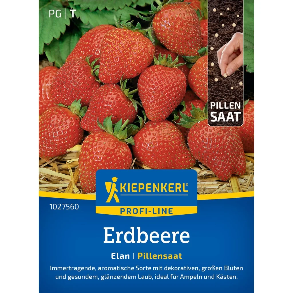 Kiepenkerl Erdbeere Elan F1 Pillensaat, fruchttragend, ideal für Garten und Balkon, sorgt für süße, aromatische Erdbeeren.