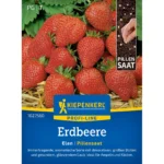 Erdbeersamen Elan