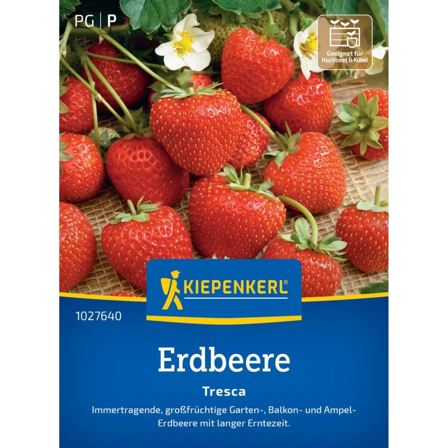 Kiepenkerl Erdbeere Tresca, süße, rote Früchte, ideal für Balkongärten, robust und ertragreich, liefert reichhaltige Ernte.