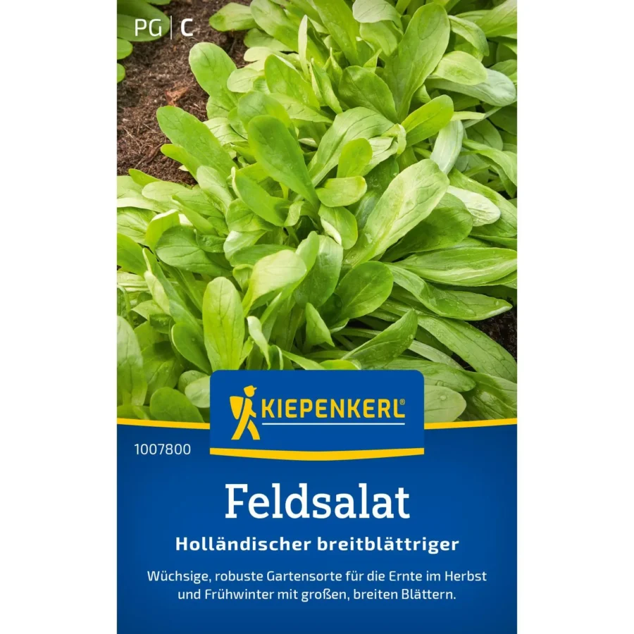 Kiepenkerl Feldsalat &apos;Holländischer Breitblättriger&apos;, vitaminreich, ideal für frische Salate, Saatgut im praktischen Beutel.
