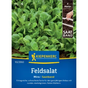 Feldsalatsamen Miro