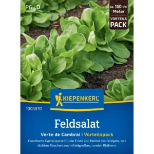 Feldsalatsamen Verte de Cambrai