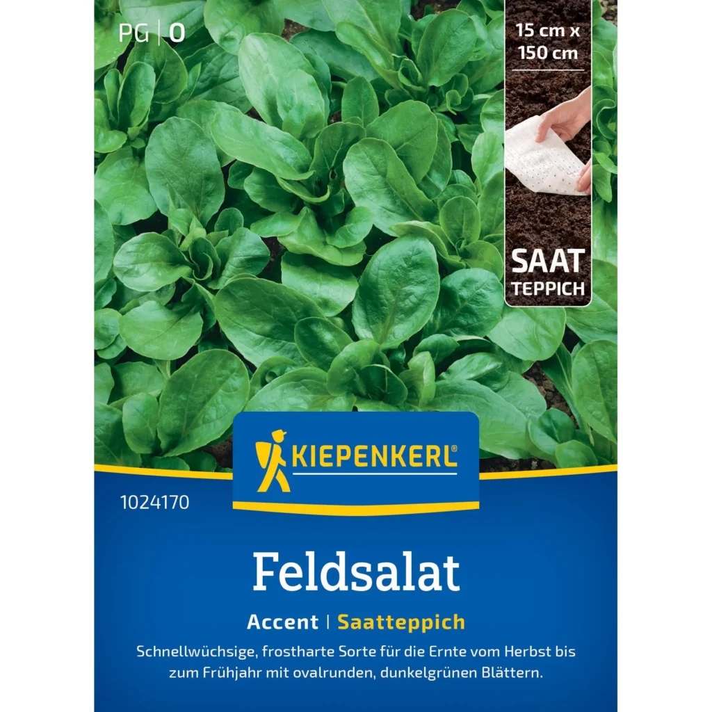 Kiepenkerl Feldsalatsamen Accent, reich an Nährstoffen, ideal für frischen, gesunden Salat aus dem eigenen Garten.