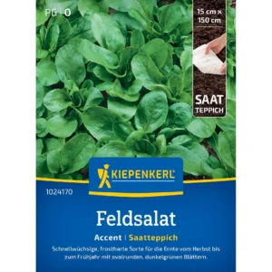 Feldsalatsamen Accent