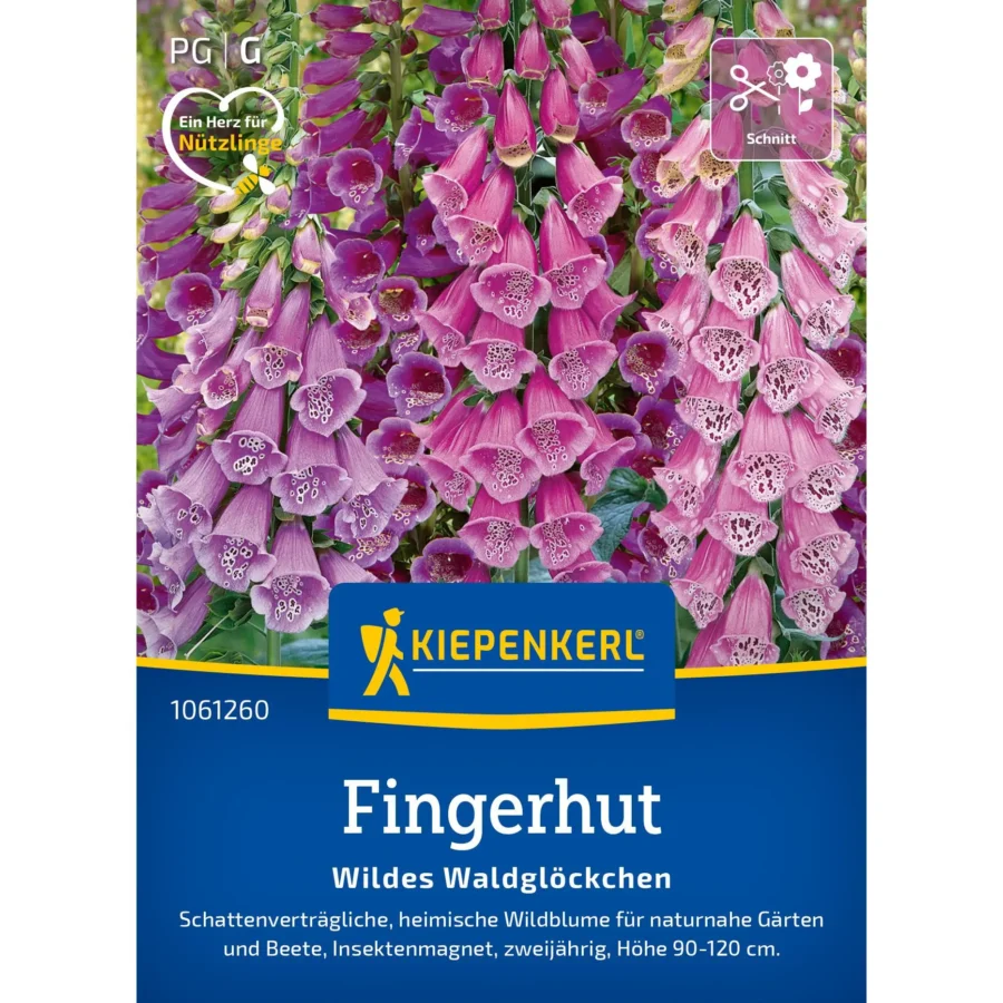 Kiepenkerl Fingerhutsamen Wildes Waldglockenblume, ideal für schattige Gärten, mehrjährig, blüht in lila Tönen, 200 Samen.