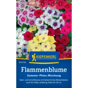Flammenblumensamen Sommer-Phlox Mischung