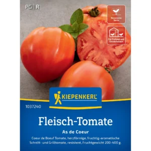 Fleisch-Tomatensamen As de Coeur