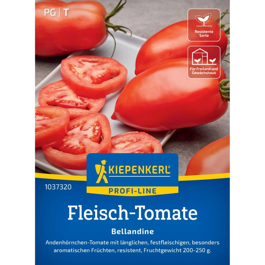 Kiepenkerl Fleisch-Tomate Bellandine F1, saftige, rot-reife Früchte, ideal für frische Salate, robust und ertragreich, perfekt für Gartenliebhaber.