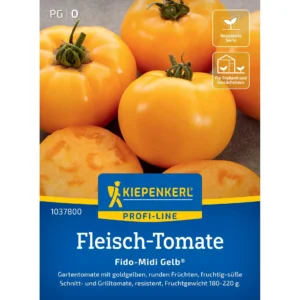 Fleisch-Tomatensamen Fido-Midi Gelb®