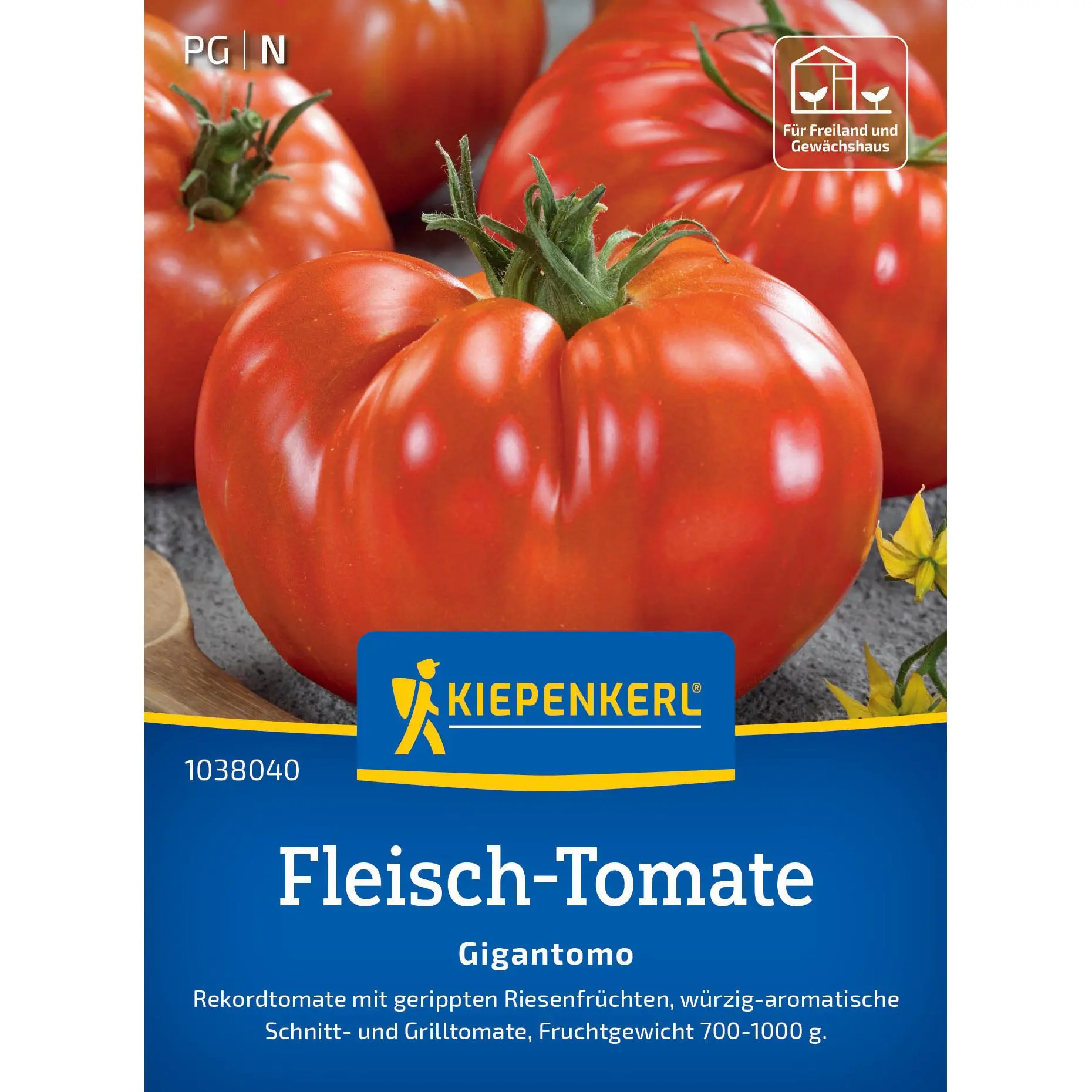 Fleisch-Tomatensamen Gigantomo 1 Kiepenkerl Fleisch-Tomate Gigantomo F1, saftige, rotfleischige Früchte, ideal für Salate & Saucen, robuste Sorte für Garten & Balkon.