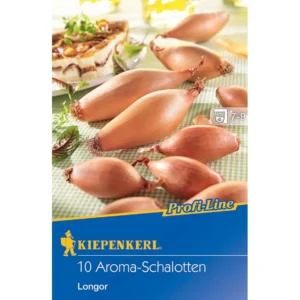 Französische Schalotte Longor