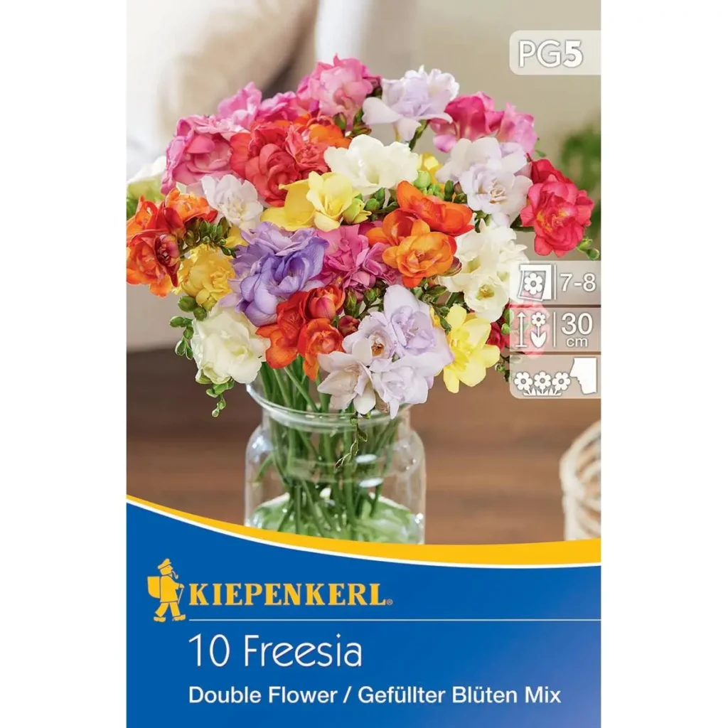 Kiepenkerl Freilandfreesie, gefüllt, blühende Mischung, ideal für Gartenbeete, kräftige Farben, langlebige Blüten.