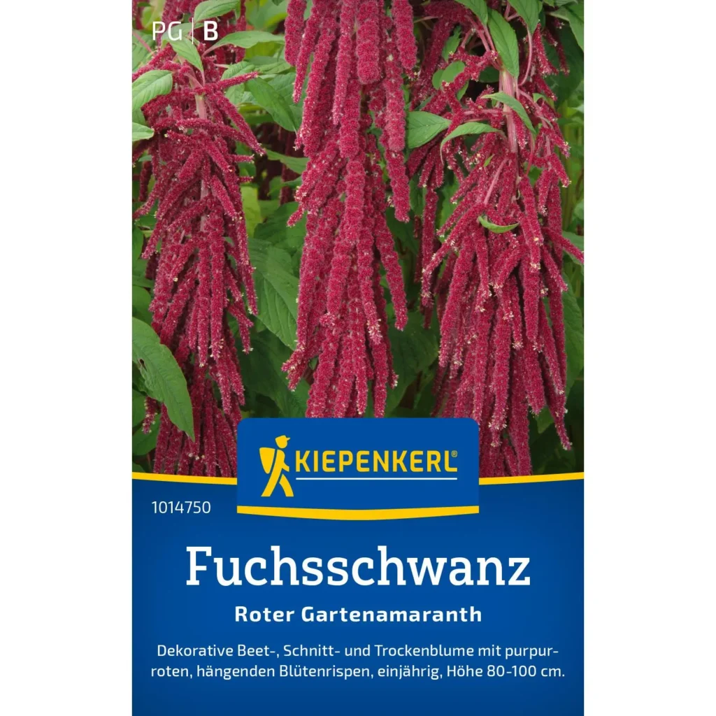 Kiepenkerl Fuchsschwanz-Samen, ideal für üppige Blumenbeete, blühend, leicht anzubauen, 50g Packung.
