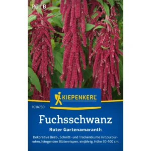Fuchsschwanzsamen Roter Gartenamaranth