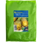 Futterrübe Eckdogelb, 0,5 kg