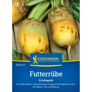 Futterrübensamen Eckdogelb