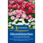 Gänseblümchensamen Tausendschön Mischung