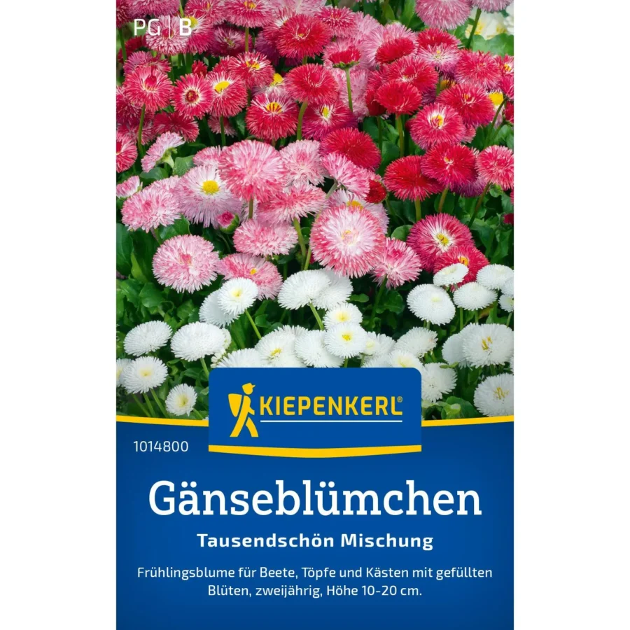 Kiepenkerl Gänseblümchen Tausendschön Mischung, farbenfrohe Blumensamen für leuchtende Gartenflächen, ideal für Balkon und Beete.