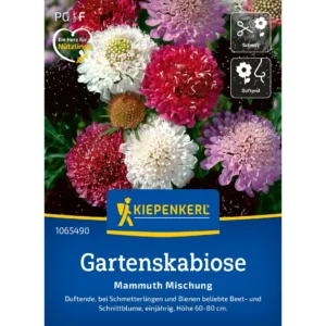 Gartenskabiosensamen Mammuth Mischung