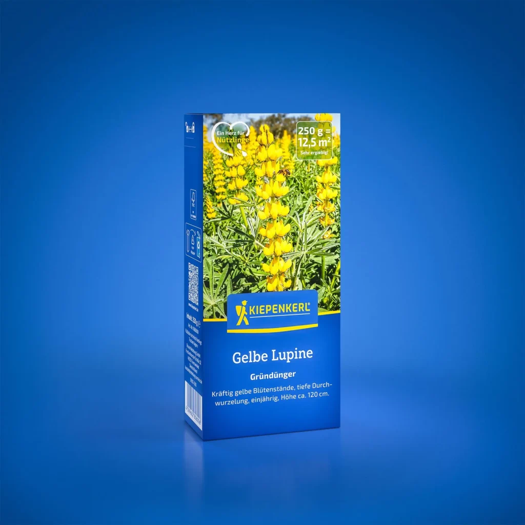 Kiepenkerl Gelbe Lupine, 0,25 kg, ideal für Nährstoffanreicherung im Garten, fördert gesundes Pflanzenwachstum.