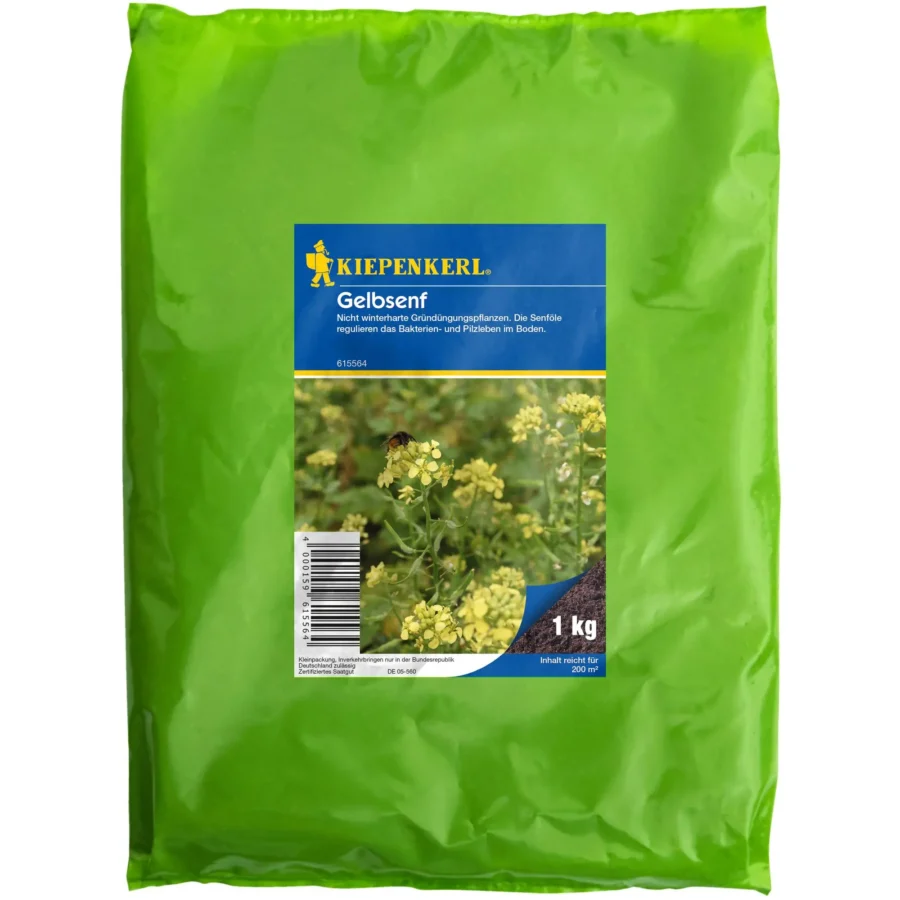 Kiepenkerl Gelbsenf, 1 kg, ideal für gesundes Wachstum und reiche Ernte, reich an Nährstoffen und vielfältig einsetzbar.
