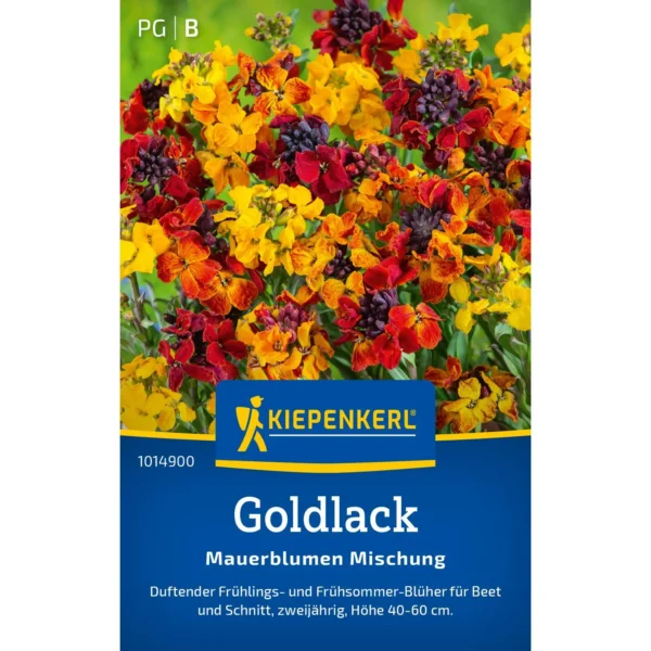 Kiepenkerl Goldlack Mauerblumen-Mischung, farbenfrohe Blüten, ideal für Gartenbeete und Pflanzkübel, fördert die Artenvielfalt.