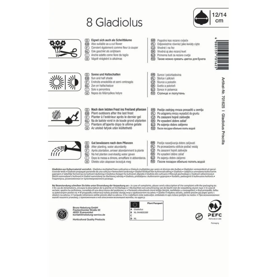 Kiepenkerl Großblumige Gladiolen Priscilla, leuchtend pinke Blüten, ideal für prächtige Gartenarrangements, 10 Stück pro Packung.