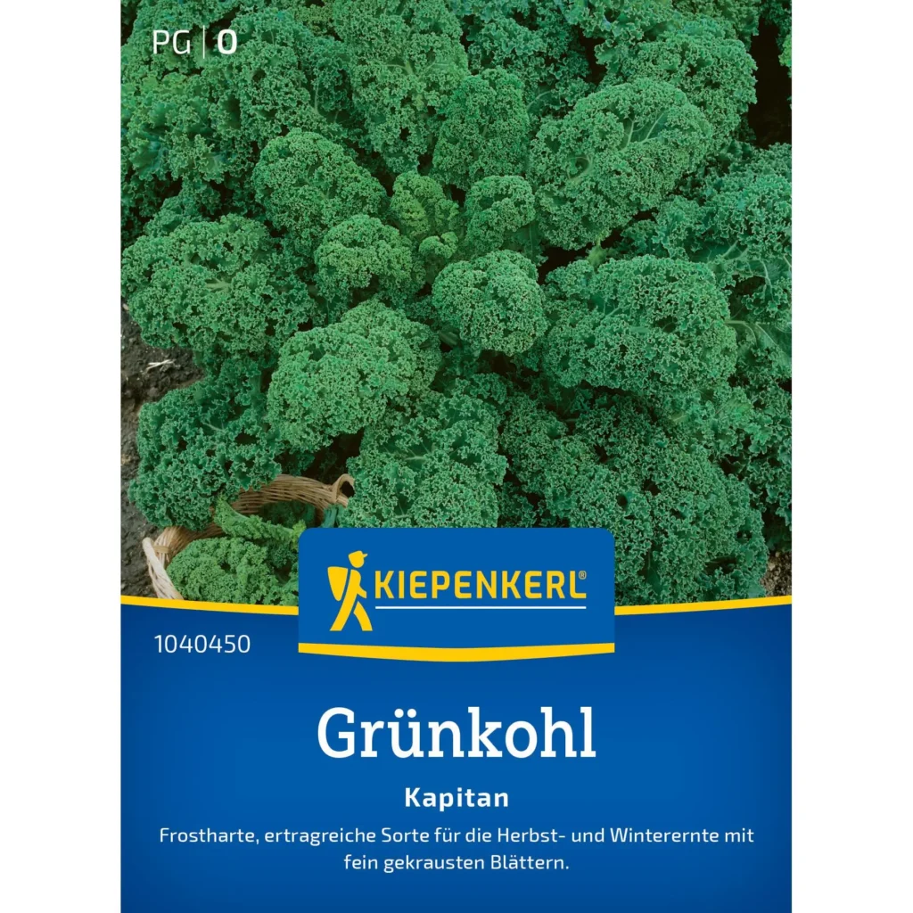 Kiepenkerl Grünkohl Kapitän F1, vitaminreiche Pflanze für gesunden Garten, robust und ertragreich, ideal für frische Küchenrezepte.