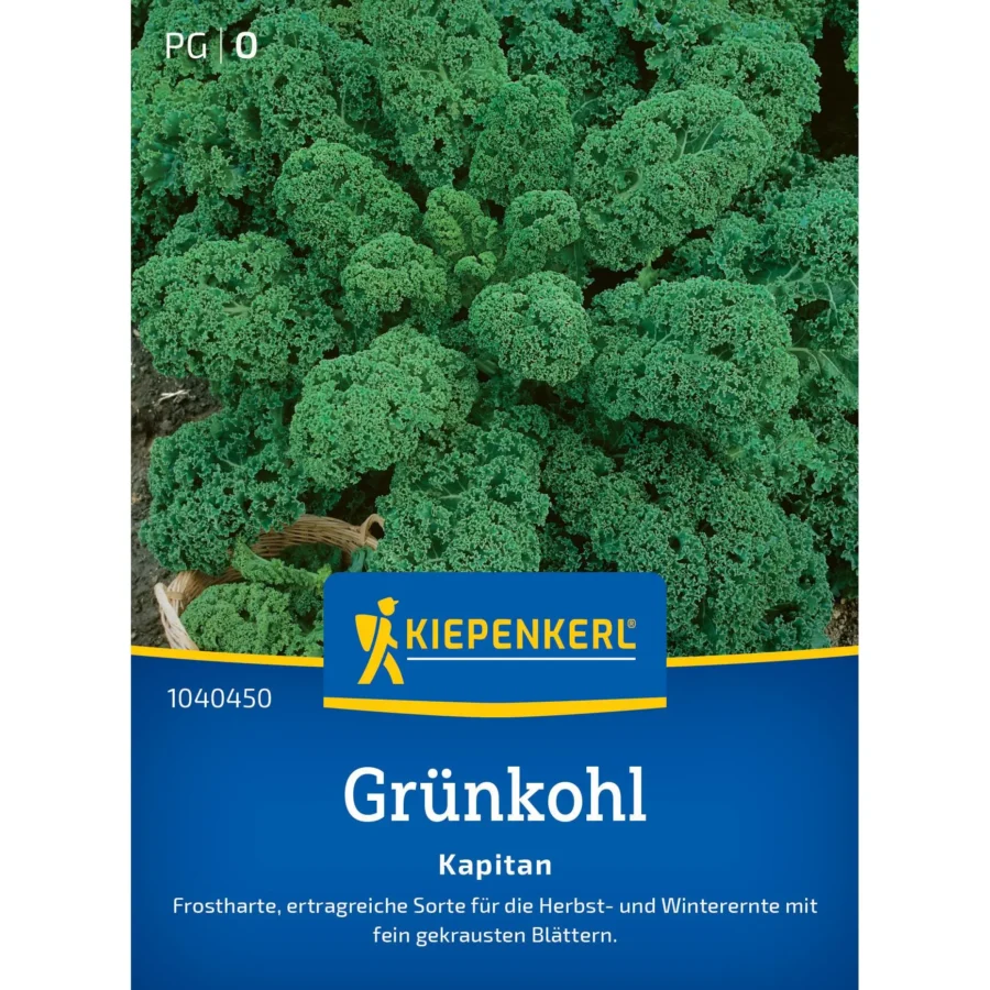 Kiepenkerl Grünkohl Kapitän F1, vitaminreiche Pflanze für gesunden Garten, robust und ertragreich, ideal für frische Küchenrezepte.
