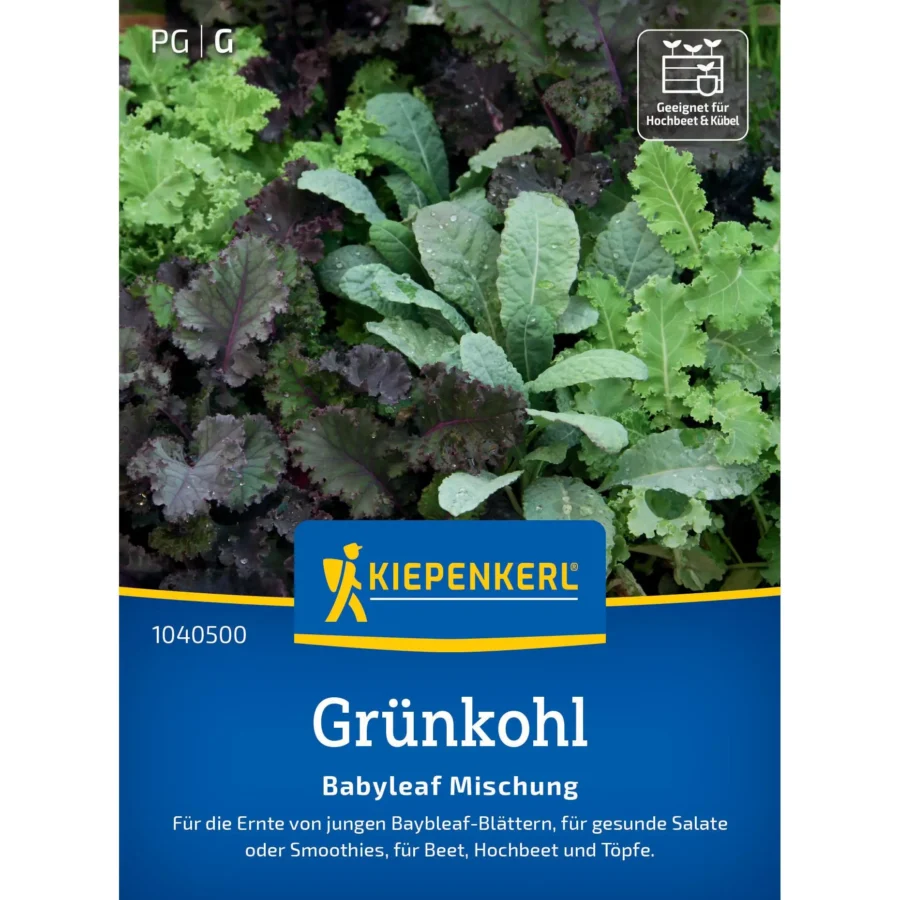 Kiepenkerl Grünkohlsamen Babyleaf-Mischung, keimfähig, ideal für gesundes, vitaminreiches Grünkohl-Wachstum in kleinen Gärten.