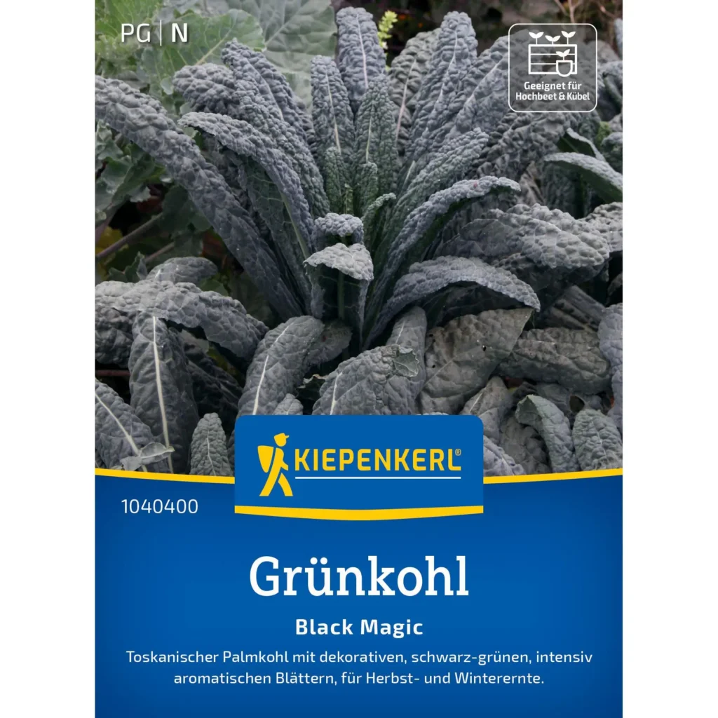 Kiepenkerl Grünkohlsamen Black Magic, Premium-Saatgut für ertragreiche Ernte, robust und schmackhaft, ideal für nährstoffreiche Böden.