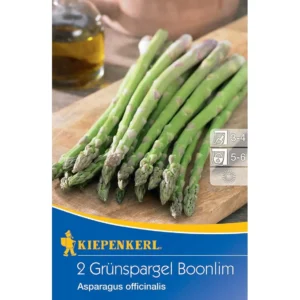 Grünspargel Boonlim Asparagus officinalis