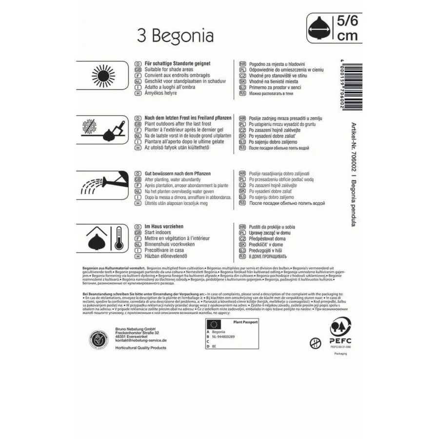 Kiepenkerl hängende Knollenbegonie rot, pflegeleicht und blühfreudig, ideal für Balkone und Blumenkästen, nachhaltige Blumenpracht.